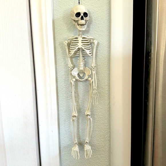 Skeleton Halloween Decorations. Hang or Sit Moveable Parts. 18” - Picture 1 of 4